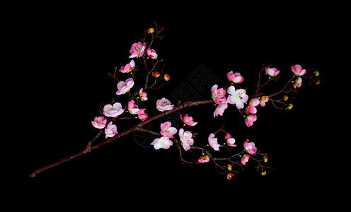 花朵粉红的樱人工枝背景图片
