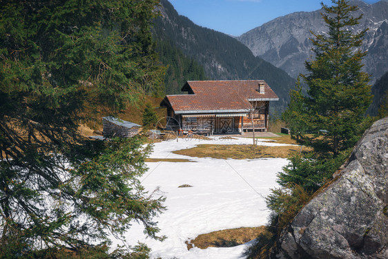 山坡丘的青松树雪山峰和木屋图片