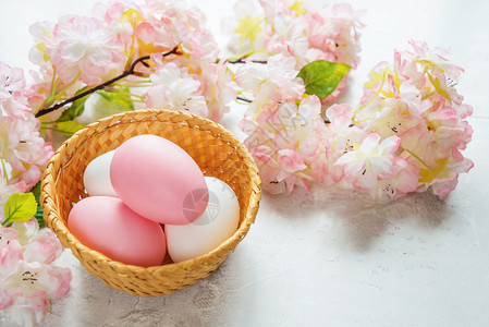 在樱花的精细粉色朵背景上配着粉红和白色的东方鸡蛋卡片夹在篮子上图片