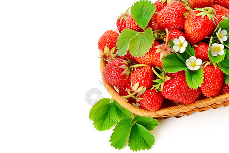 白底带美味的红草莓篮子免费文字空间图片