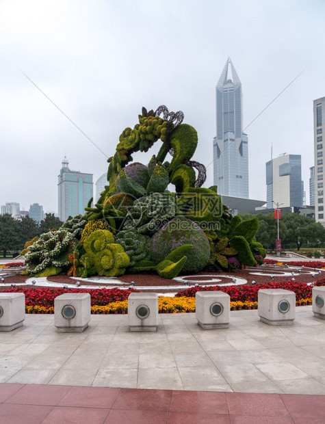 用植物做的艺术展览图片