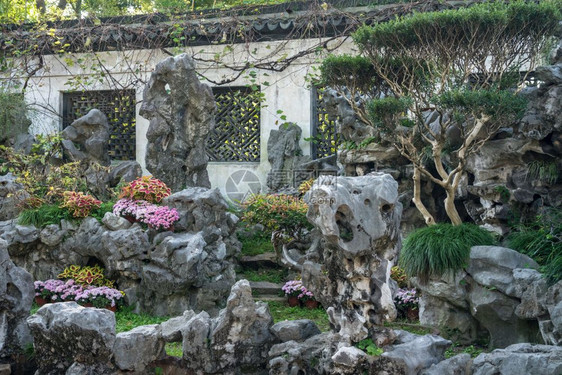 旧城上海的Yyu或an花园的装饰岩石花园图片