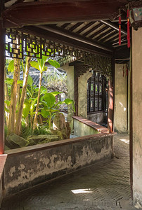 进入小庭院口在旧城上海的Yu或yan花园植树在Yuyan小庭院或上海的Yyuhai花园植树图片
