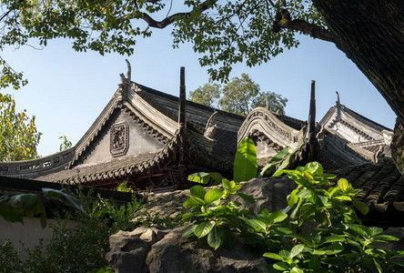 旧城上海的Yyu或an花园的装饰岩石花园图片