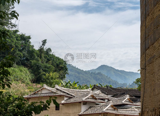 在Xiamen附近的usco遗产地点的Tulo周围的茶叶种植园图片