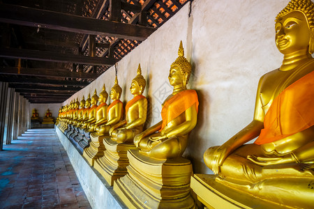 东嘎寺泰国大城府菩萨寺的金佛像泰国大城府佛寺黄金佛像背景