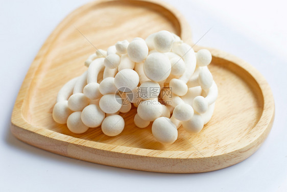 白蘑菇清木草白底的可食蘑菇图片