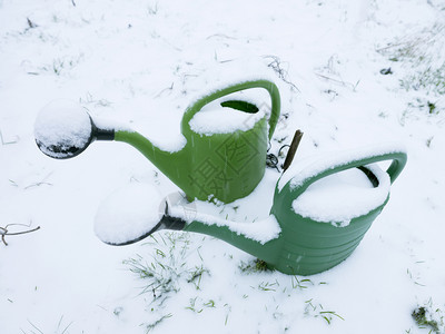 2个绿色塑料水罐在冬季积雪中两根绿色塑料水罐并肩覆盖图片