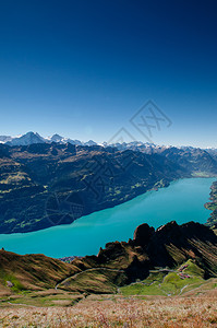 在下午阳光和从Brienz山转角峰的湖布氏光下观测到昆虫瑞士swialp图片