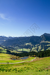 秋天的海山草和马巴切格谷瑞士中部生物圈保护区图片