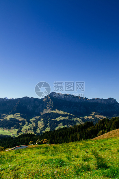 秋天的海山草和马巴切格谷瑞士中部生物圈保护区图片