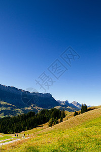 秋天的海山草和马巴切格谷瑞士中部生物圈保护区图片