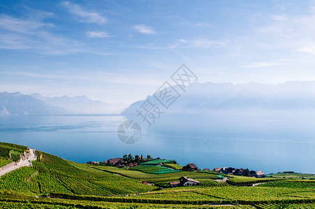 Swezrland在Vvey和Montreux附近的cbrs村的chxbrs村的宽阔绿葡萄园梯田背景著名的葡萄园和酒胜地有湖原和图片