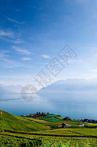 Swezrland在Vvey和Montreux附近的cbrs村的chxbrs村的宽阔绿葡萄园梯田背景著名的葡萄园和酒胜地有湖原和图片