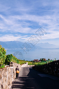 2013年9月5日在韦和蒙特勒附近的小街和葡萄园露台旅游在Vevy和Montreux著名的葡萄园和酒胜地附近的熔岩中在小街和葡萄图片