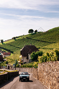 2013年9月5日在Vivey和Montreux附近的Chexbrs村著名的葡萄园和目的地Chexbrs村小街道和绿葡萄园梯田图片