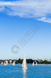 苏黎世瑞士和平的湖岸美丽白色帆船在苏黎世湖图片