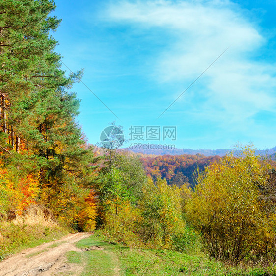 多彩的森林和古老乡村道路图片