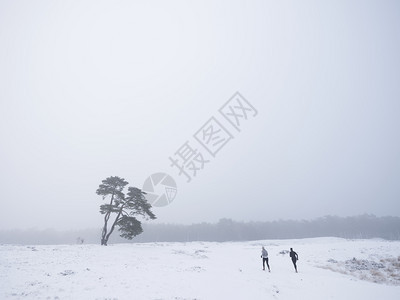 两人在冬天的风景中慢跑走向在泽斯河边的孤单松树图片