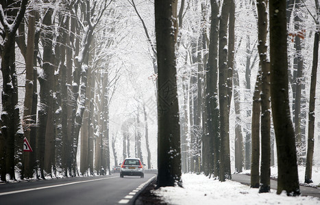 冬季雪林公路上的汽车图片