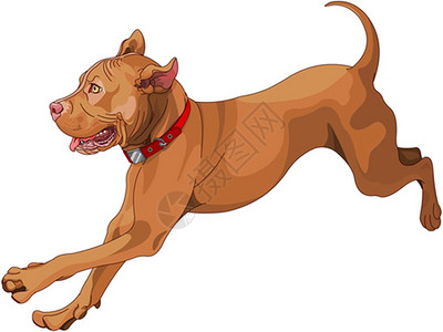 草长萤飞奔跑的小狗卡通矢量插画插画