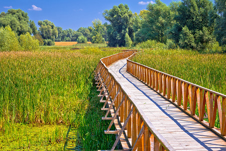 天空之桥自然公园木板行道Croati的Brnj地区背景