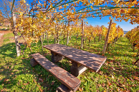秋天的长椅葡萄园富彩的卡尔尼克山丘休息之地croati图片