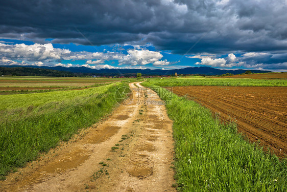 在阴云的天空下在croati的frgoje地区暴风雨的景下泥土在阴云多的天空之下图片