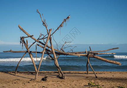 Hanlei海滩上有冲浪器的漂浮木结构在材后面可见图片
