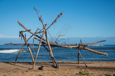 Hanlei海滩上有冲浪器的漂浮木结构在材后面可见图片