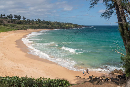 在哈瓦伊省Kaui海岸的驴或Paliku海滩上旅游的客图片