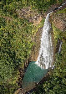 直升机飞过木林茂密的Kaui岛图片