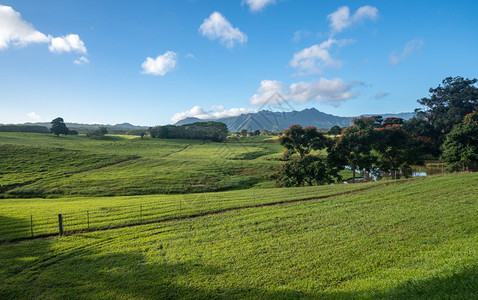 在Kaui童话故事风景上可以看到naPli山脉的花朵图片