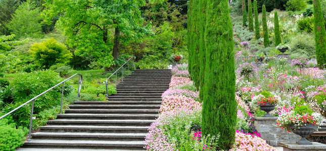 花园和其他植物楼梯和mainu岛的瀑布花棚德国图片