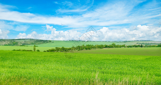 绿地和蓝天空云彩明亮农业景观宽广的照片图片