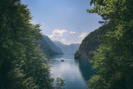 在德国的阿尔卑斯山上由树木塑造在阳光明媚的夏天在德国伯希特斯加登图片