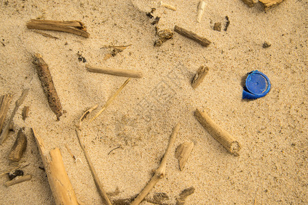 沙滩上漂浮木和塑料盖图片