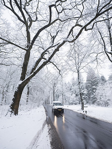 在奥斯特利茨和霍伦德的奥斯特利茨附近冬秋天的雪林中在柏油路和湿面反射图片