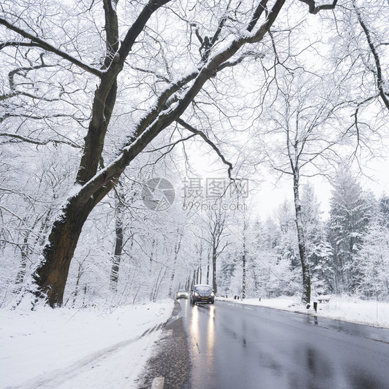 在奥斯特利茨和霍伦德的奥斯特利茨附近冬秋天的雪林中在柏油路和湿面反射图片