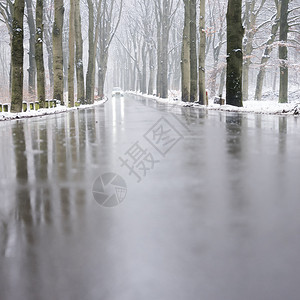 在奥斯特利茨和霍伦德的奥斯特利茨附近冬秋天的雪林中在柏油路和湿面反射图片