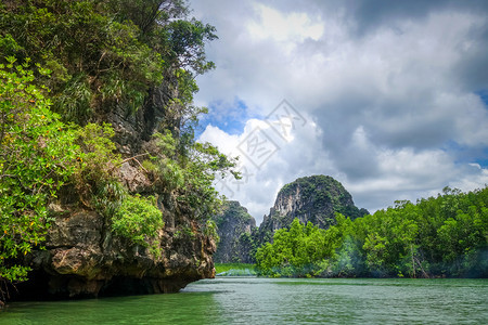 泰河沿岸邦Phang湾的红树林和Phang湾的悬崖图片