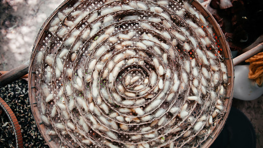 竹巢托盘中近距离拍摄的丝虫作为制塔伊丝织物的原材料图片