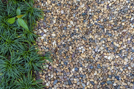 园艺概念小石头绿色植物在花园里装饰用来走路抽象背景图片