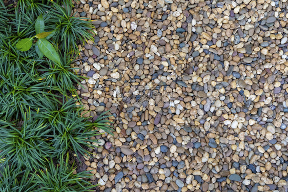 园艺概念小石头绿色植物在花园里装饰用来走路抽象背景图片
