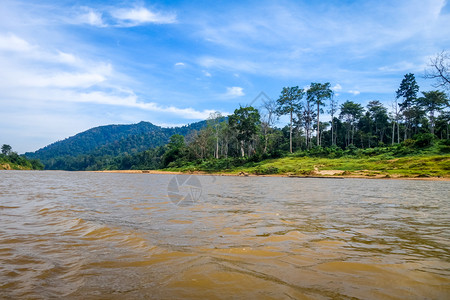 塔曼尼加拉公园马来西亚塔曼尼加拉公园的河流和丛林图片