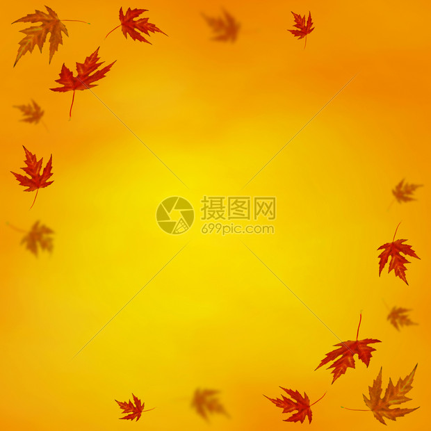 秋背景有彩色树叶高清图片下载 正版图片 摄图网