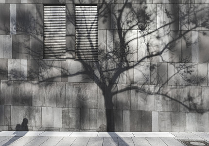 一个男人和棵树的影子反射在现代建筑的墙上窗户关闭在stugar城市德国环境问题图片