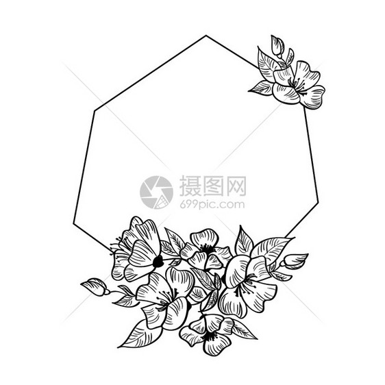 现代手画几何框架用于花叶和的卡片扫描禽矢量插图用于文本的位置现代手画几何框架用于花叶和的卡片图片