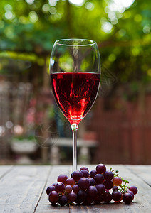 一杯红葡萄酒在公园的桌上浪漫午餐图片