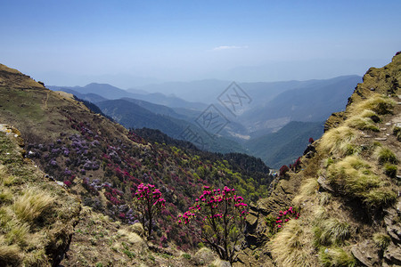 从tungah山峰grwlutrkhndia从tungah山峰inda看到的多彩山谷看到的多彩山谷图片